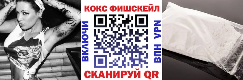 Кокаин FishScale  Каменка 