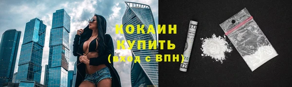 гашик Гвардейск