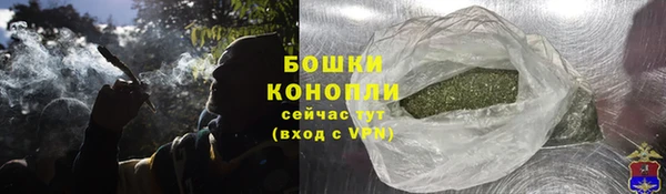гашик Гвардейск