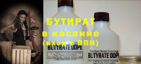 прущие грибы Гатчина