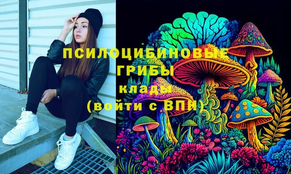 Альфа ПВП Пересвет