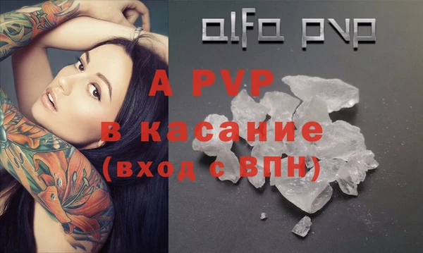 прущие грибы Гатчина