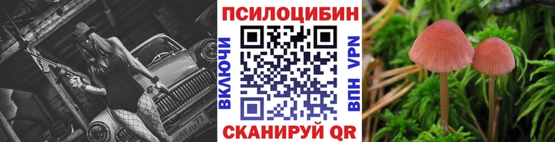 Галлюциногенные грибы ЛСД  продажа наркотиков  Каменка 