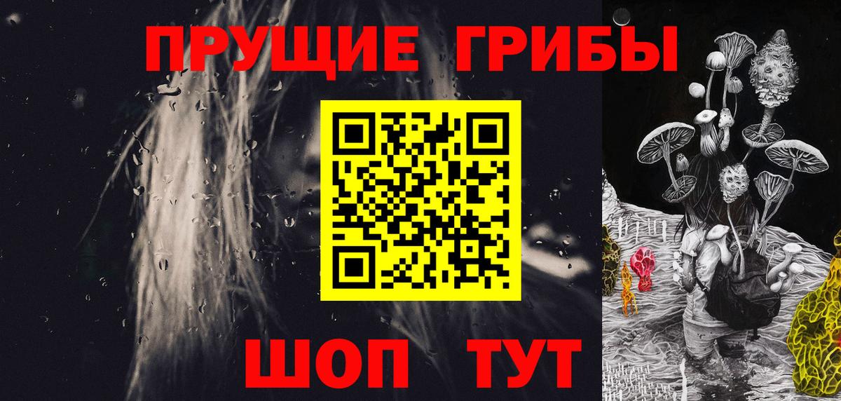 Галлюциногенные грибы мухоморы  магазин продажи   Каменка  Вход с VPN 