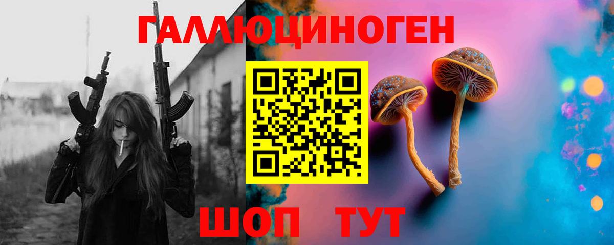 Псилоцибиновые грибы Psilocybine cubensis  Галлюциногенные грибы Cubensis  Каменка  Вход с VPN 