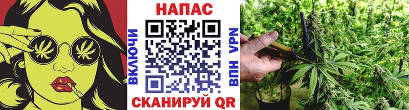 MEGA как войти  Каменка  Канабис марихуана 